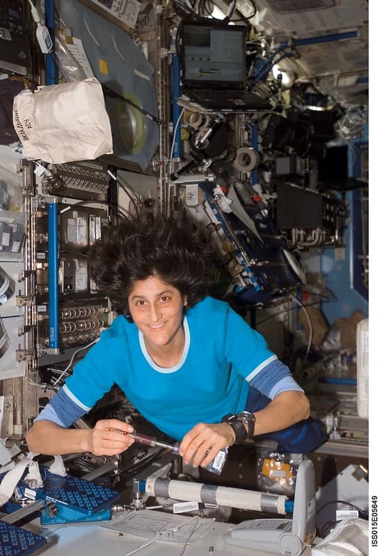 Sunita Williams NASA Astronaut
